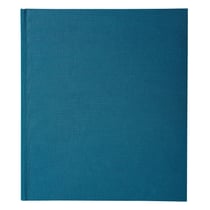 Registre 32x27cm Enregistrement du courrier 26 lignes 200 pages - Bleu - Exacompta