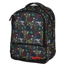 Sac à Dos Harry Potter 42 CM - 2 compartiments Color Block