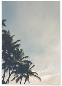 Poster Palmiers Tropicaux | A3 : 29,7x42cm