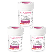 Colorant alimentaire en poudre 15 g - pourpre