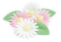 6 marguerites + 6 feuilles vertes azyme (blister)