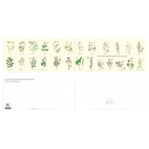 Longue vue editions - Plantes aromatiques de France - Carte double