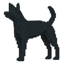 Chien de Taïwan Taille standard | JEKCA | 14 ans et +