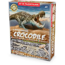 Kit Paleo - Crocodile - Ulysse