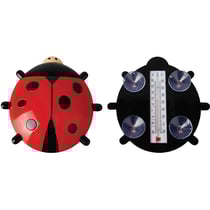 Thermomètre coccinelle