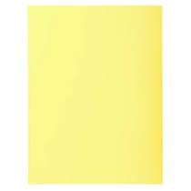 Paquet 100 chemises SUPER 210 - 24x32cm - Canari - x 5 - Exacompta
