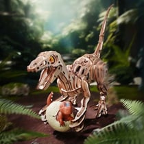 Puzzle 3D 189 pièces - Vélociraptor - Figured'Art