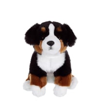 Peluche Chien Bouvier Bernois - - Assis, 25 cm