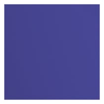 Papier Florence - 20 feuilles - Ink - 30,5 x 30,5 cm - 216 g/m²