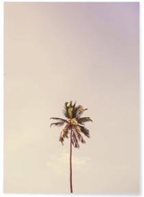 Poster nature Palm Trees 6 | A3 : 29,7x42cm