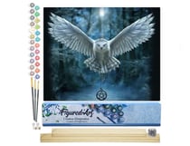 Peinture par Numéro Figured'Art - Chouette porteuse de croix - Kit de Loisir Créatif DIY Numéro d'Art Complet - 40x50cm toile roulée + châssis en bois à monter