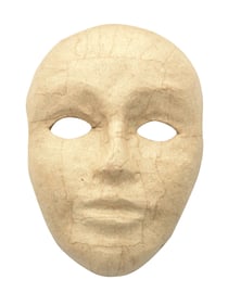 MASQUE NEUTRE ADULTE EN CARTON 140x220x60