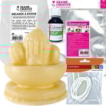 Kit de fabrication Bougies Cactus