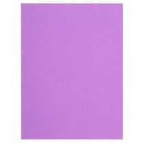 Paquet de 100 sous-chemises FLASH 80 100% recyclé - 22x31cm - Lilas - x 10 - Exacompta