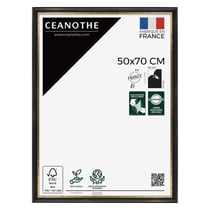 Cadre photo Pandore noir doré 50x70 cm