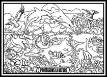 Tableau velours a colorier Dauphins et coraux Sericolor