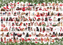 Puzzle 1000 pièces - Chiens de Noël - Eurographics