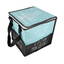 Sac isotherme 31 x 31 x 30 cm