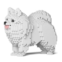 Chien Spitz Nain blanc Taille standard | JEKCA | 14 ans et +