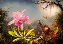 Puzzle 1000 pièces - Martin Johnson Heade - Cattleya Orchid and Three Hummingbirds, 1871 - Bluebird Puzzle
