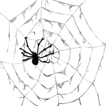 Toile d'araignée géante - Ø 2,90 m