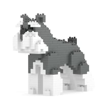 Mini Schnauzer Taille standard | JEKCA | 14 ans et +