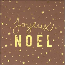 20 Serviettes Joyeux Noël Fourrure Kraft