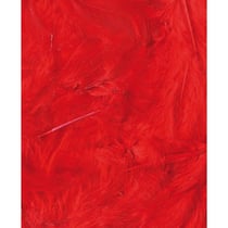 Plumes rouges 12 cm - Artemio