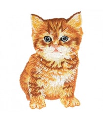 Ecussons Thermocollant Chats 3,5 X 6,5 cm - Mediac Orange
