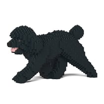 Chien Caniche Nain qui marche noir Taille standard | JEKCA | 14 ans et +