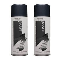 Lot de 2 sprays de peinture - ardoise métallisé - AMT