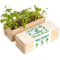 Resetea - Mini potager d'herbes aromatiques