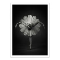Affiche 50x70 cm - Floral Ballet - Catchlight Studio