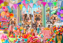 Puzzle 1000 pièces - Sweet Tooth Candy - Bluebird Puzzle