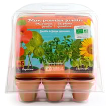 Mini serre 6 pots PET - Premier jardin