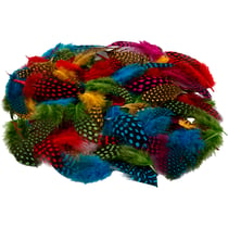 Plumes de pintade, ass. de couleurs, 50 gr/ 1 Pq.