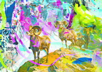 Puzzle 1000 pièces - Big Horns - Heye