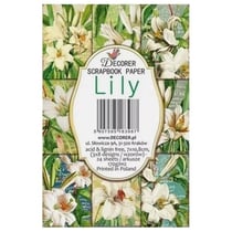24 mini papiers fantaisis image 7 x 10,8 cm DECORER LILY
