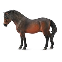 Collecta Chevaux (L): DARTMOOR PONY BAI 10,5x4x8cm
