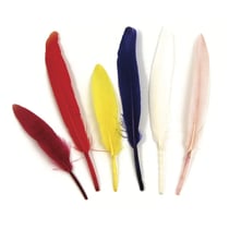 Plumes indiennes, assorties, 10,5 cm, 24 pces