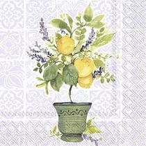Lot de 4 serviettes en papier découpage collage 33 cm FRUIT CITRONNIER