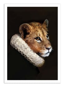 Affiche 30 x 40 cm - Nova - Tein Lucasson