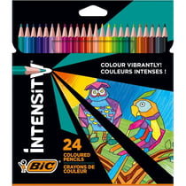 Etui de 24 Crayons de Couleur Triangulaire Intensity Mine Douce Sans Bois Assorti BIC
