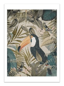 Affiche 30 x 40 cm - Jungle Toucan - Andrea Haase