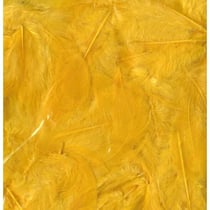 Artemio - Plumes Ébouriffées Jaune 10g (grand paquet)