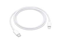 Apple Câble Lightning vers USB-C Charge et Synchronisation 1m Blanc