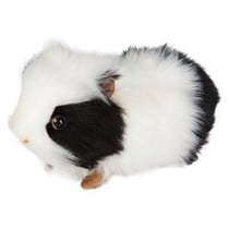 Cobaye Noir et blanc 20cm