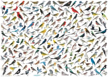 Puzzle 1000 pièces - Le Monde des Oiseaux - Eurographics