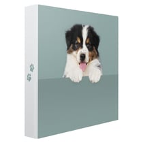 Album Photo Pochette cache-cache chien 200 Photos 10x15 cm