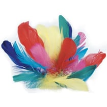 Graine Créative - Plumes coquille d'oie coloris assortis 12g
